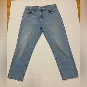 Everlane Light Blue Curvy Cheeky Ankle Jean Size 32